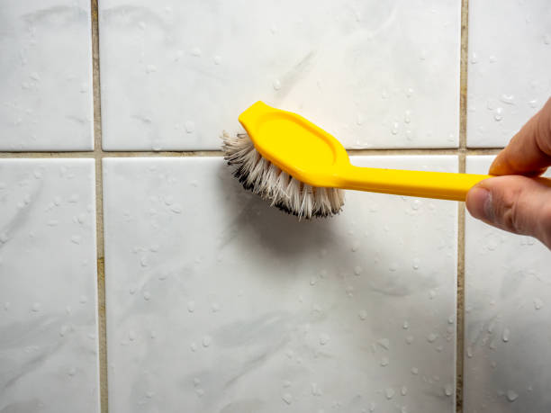 Best Mold Removal Specialists  in Hamilton College, NY