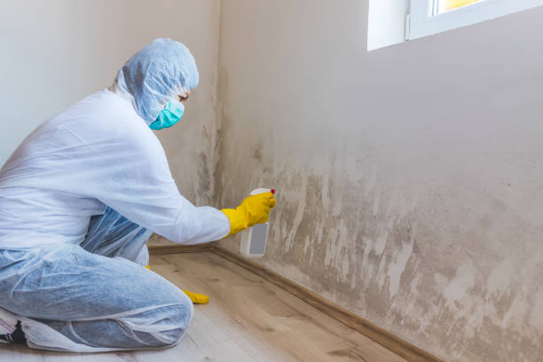 Mold Removal Process in Hamilton College, NY